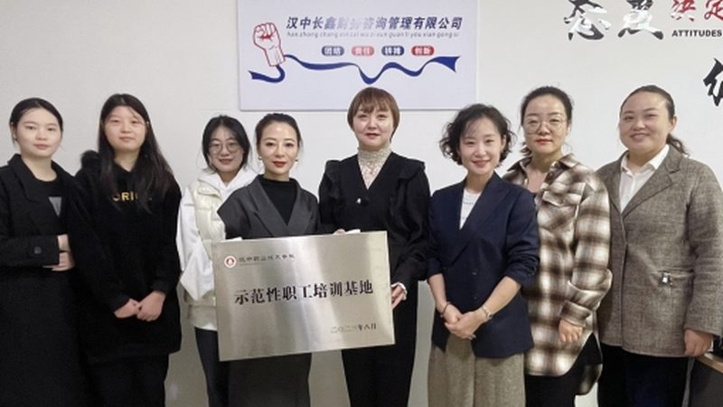 企业培训咨询标杆企业收费标准解析：揭秘背后的逻辑